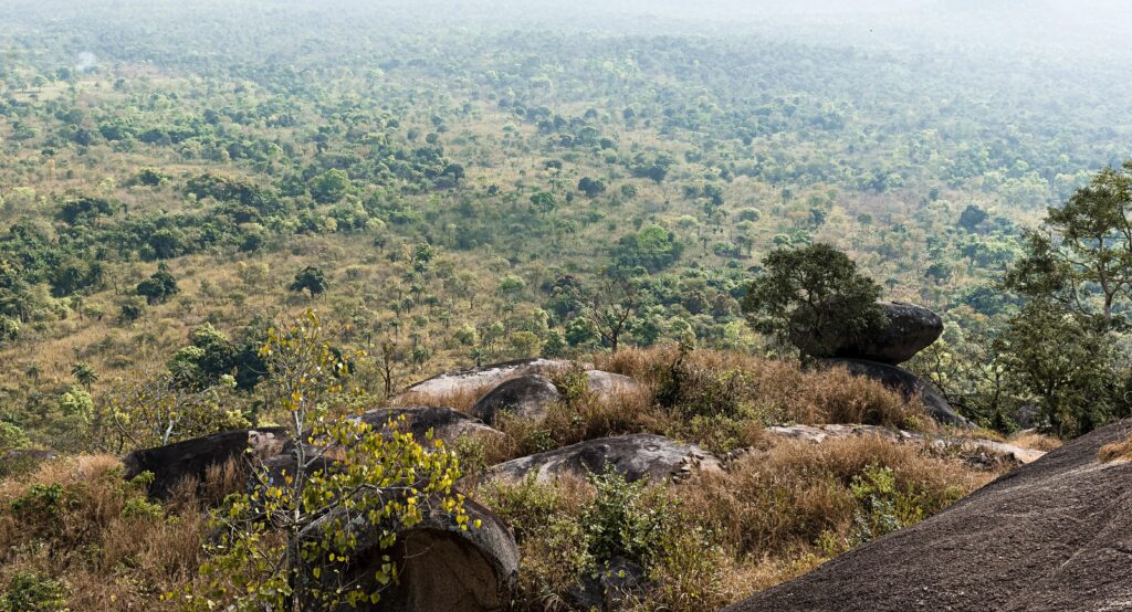 Nigérie od příštího roku zakáže používání jednorázových plastů