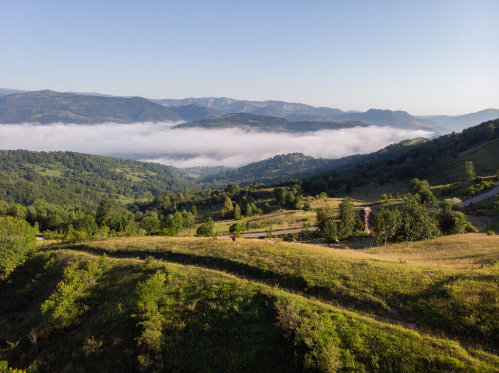 Nový způsob odstraňování oxidu uhličitého z atmosféry